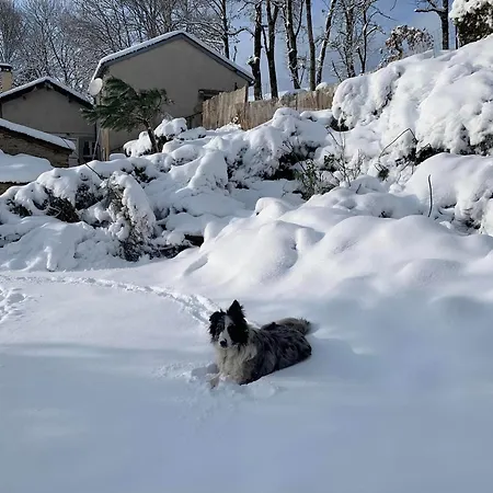 Guest house La Valette D'aurore - Animaux Bienvenus 3*