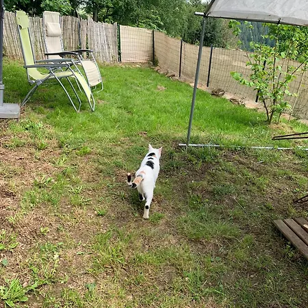 Guest house La Valette D'aurore - Animaux Bienvenus