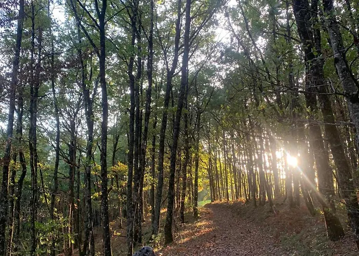 Гостевой дом La Valette D'aurore - Animaux Bienvenus 3*