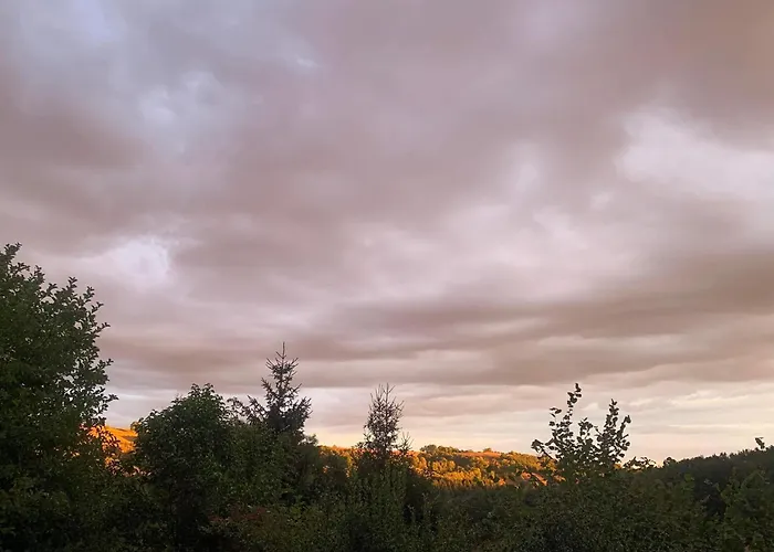 Гостевой дом La Valette D'aurore - Animaux Bienvenus Massals