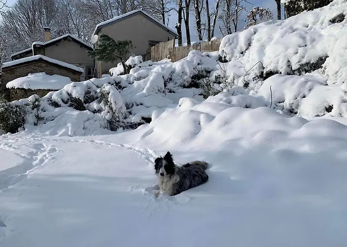 Гостевой дом La Valette D'aurore - Animaux Bienvenus 3*