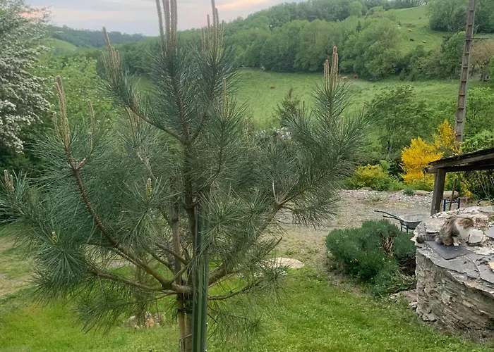 La Valette D'aurore - Animaux Bienvenus 3*