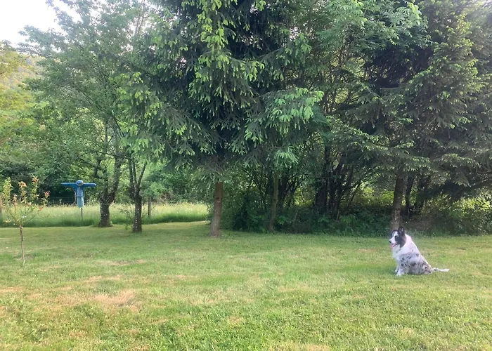 La Valette D'aurore - Animaux Bienvenus Гостевой дом Massals