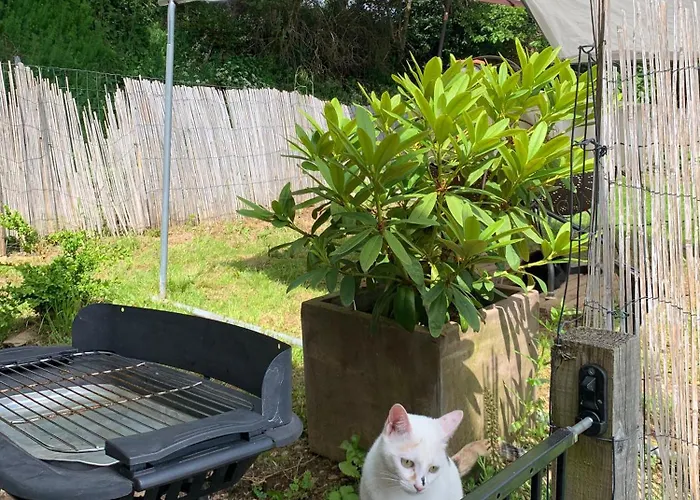 La Valette D'aurore - Animaux Bienvenus 3*