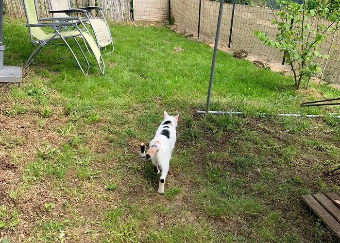 Gasthuis La Valette D'aurore - Animaux Bienvenus